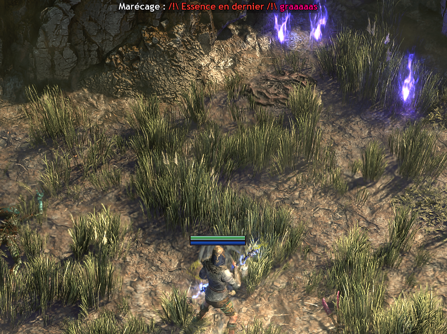 Screenshot PoE2 Biome Overlay